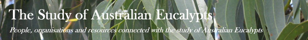 The Study of Eucalypts in Australia